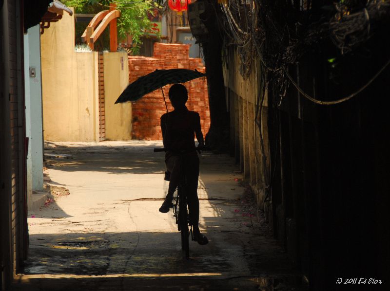 Bike & Parasol